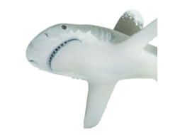 SAFARI Oceanic Whitetip Shark
