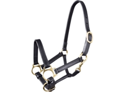 Cabeçada Rainbow Dourado Foalstar