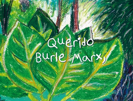 Livro Querido Burle Marx, De Renata Bueno (português Do Brasil)