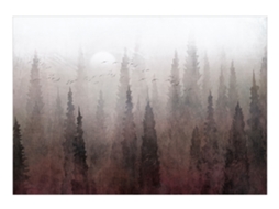 Papel de Parede ARTGEIST Flight Over the Forest - Third Variant (150x105)
