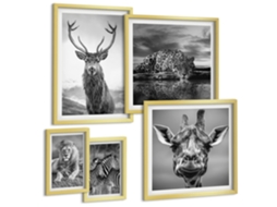 Conjunto De Pinturas Animais Em Preto E Branco Natureza Espelharte (5 Peças)