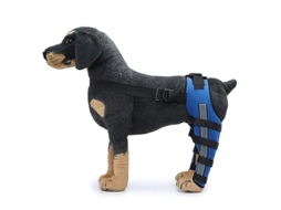 Protector de Rodilla para Perros con Doble Soporte Posterior MARCA