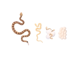 Modelo De Ciclo De Vida Do Cascabel Brinquedo Educativo Para Crianças Sobre O Crescimento Da Serpente