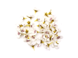 50 peças de cabeças de flores mini seda dália coloridas, artificiais, 2cm LAXISCREED