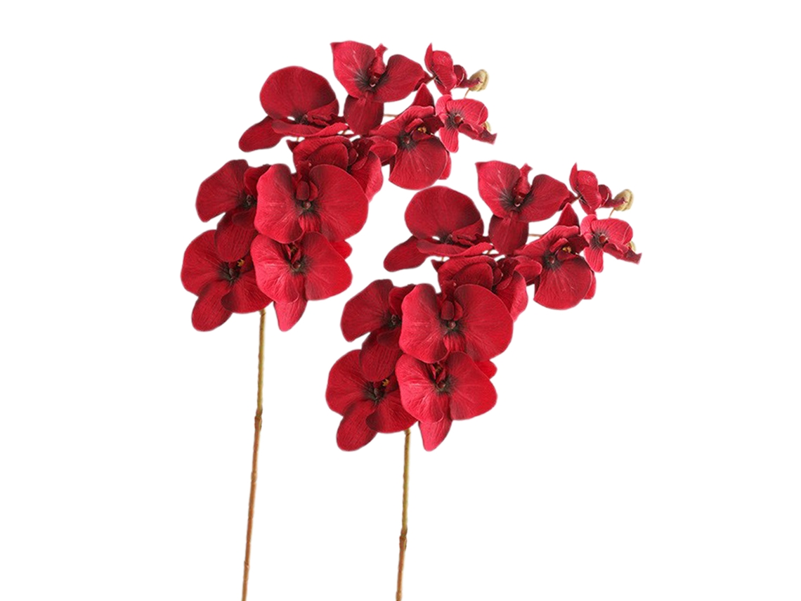 Vaso de Arame para Envio com Flores Artificiais LAXISCREED