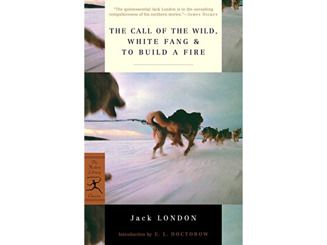 Livro Call of the Wild, White Fang To Build a Fire de Jack London (Inglês)