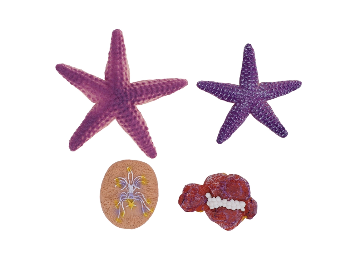 Rebe-4 Peças De Figuras De Estrela Do Mar Simuladas Ornamentos De Animais Marinhos Brinquedo Educativo Para Crianças Meninos Meninas 3+
