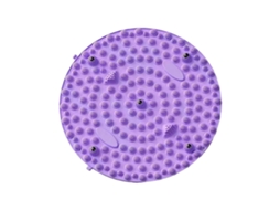 Tapete De Massagem Para Os Pés, Almofada De Massagem Dobrável De Silicone Para Acupressão, Tapete Massageador Para Os Pés