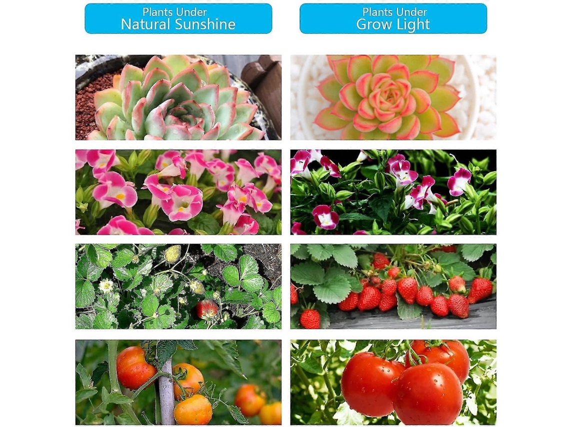 Lâmpada/iluminação Para Plantas Com 4 Tubos Led Flexíveis. Aquaforge