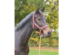Espiga de cabresto de nylon Kerbl hippo
