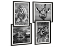 Composição De Quadros Animais Em Preto E Branco Natureza Espelharte (4 Peças)