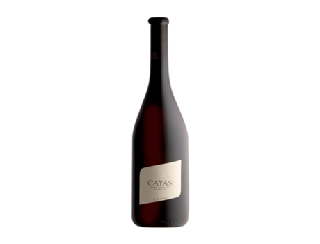 Vinho JEAN-RENÉ GERMANIER Cayas Syrah Valais Crianza (0.75 L - 1 Unidade)