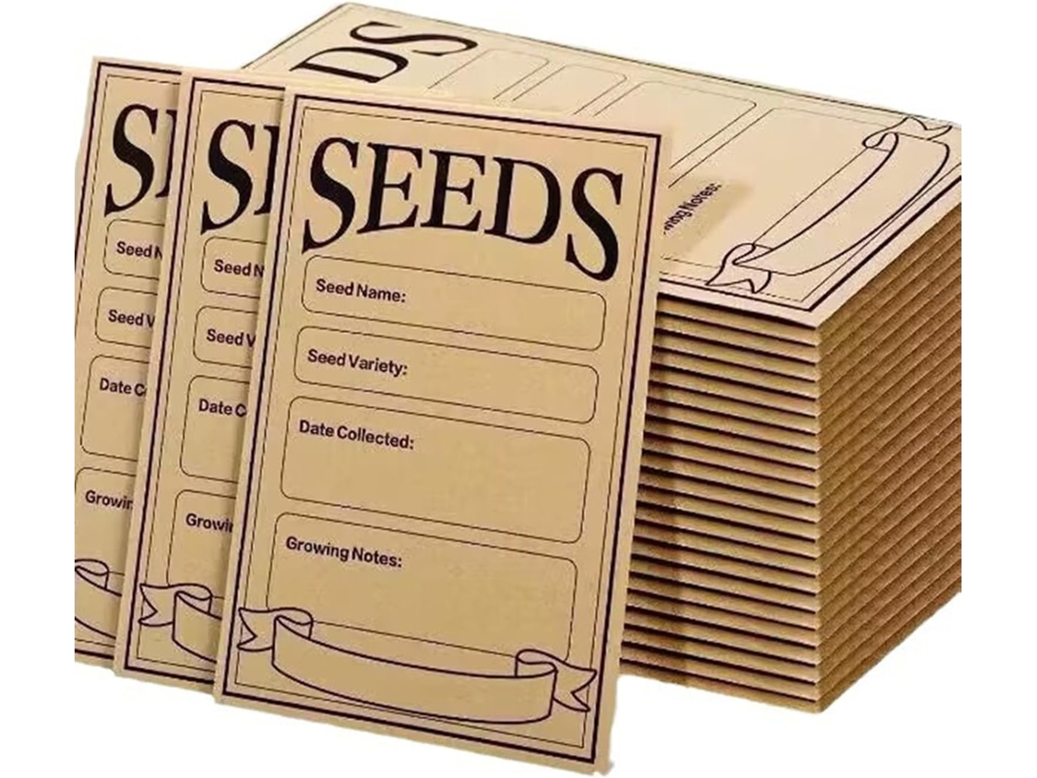 Pacote Com 100 Envelopes Para Moedas Com Fecho Hermético, Medindo 7,6 X 11,9 Cm, Com Modelos Pré-impressos Para O