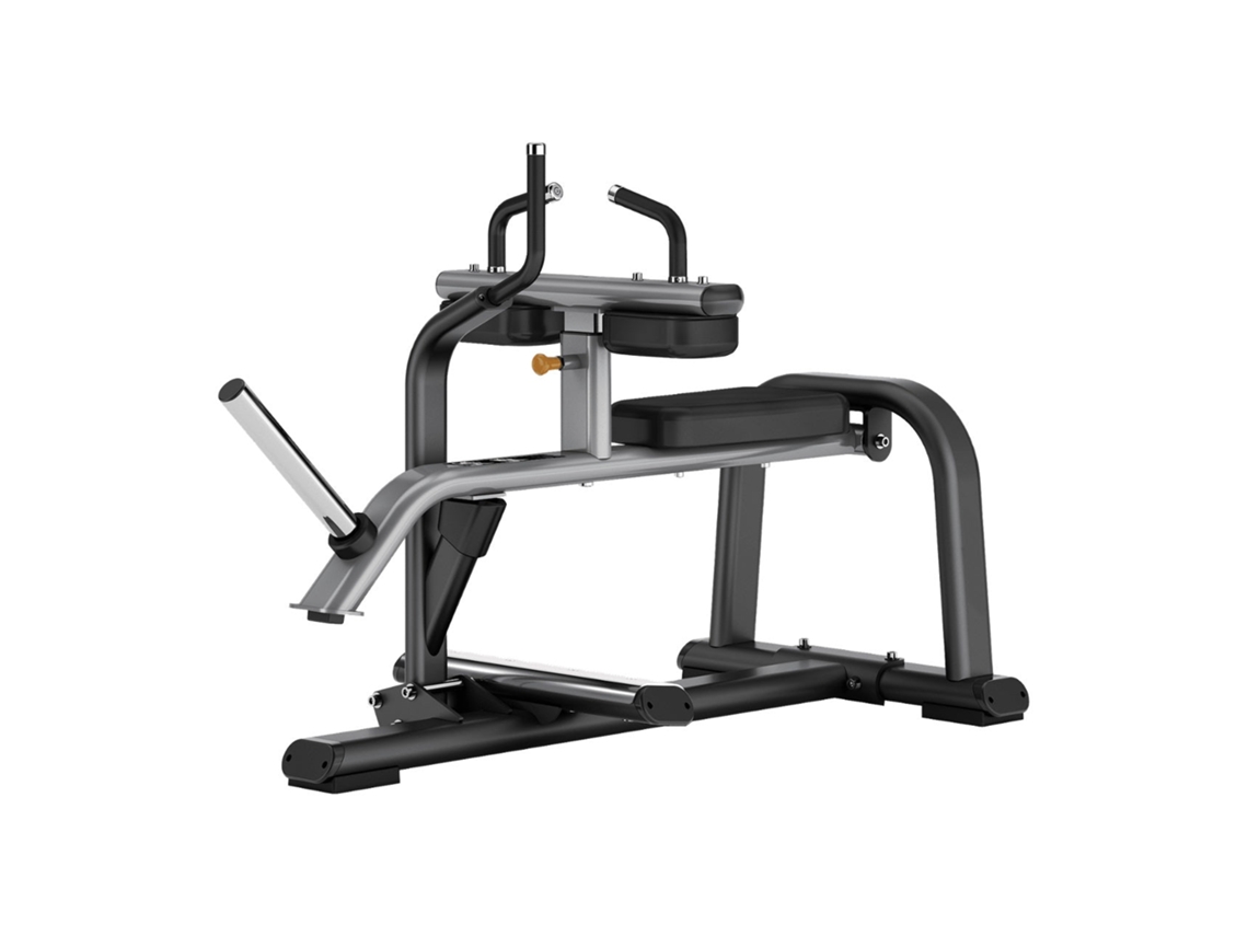 Seated Calf Toorx Raise Fwx-9700