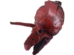 Apito De Segurança | Triceratops Brinquedo De Sobrevivência Triceratops, Apito Alto E Assustador | P Gokoco
