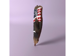 Ímãs De Geladeira Com Águia E A Bandeira Americana, Lembrancinhas Das Américas, África E Austrália.