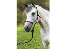 Cabresto para cavalos Norton Fun colour