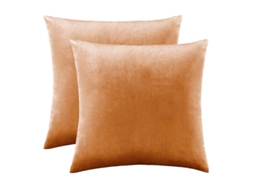 Capas De Almofadas Decorativas Douradas Para Sofá-cama, Pacote Com 2, Capas De Almofadas De Veludo De Cor Sólida E Luxuosas, Prateadas, 2 Pacotes, 60