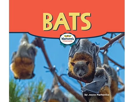 Livro Bats de Joyce Markovics (Inglês - Capa Dura)