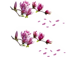 Conjunto De 2 Adesivos De Parede Com Flores De Magnólia, Autoadesivos Para Sala De Estar E Quarto. Gokoco