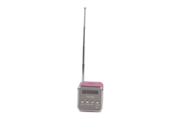 Mini Caixa De Som Portátil Com Design Moderno, Rádio Fm, Suporta Cartão Tf E U Disk Rosa Olysi Shop