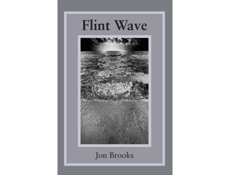 Livro Flint Wave De Jon Brooks (inglês - Capa Dura)