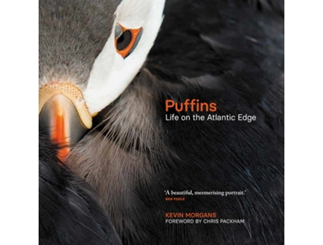 Livro Puffins de Kevin Morgans (Inglês - Capa Dura)
