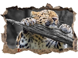 Adesivo de parede Leopardo Dormindo em um Galho, Decalque para Sala de Estar, Quarto, Cozinha, Escritório, Adulto/Criança, 62x92cm