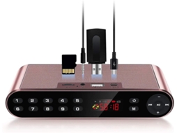 Alto Falante Portátil Sem Fio Bluetooth Com Rádio Fm Digital, Mp7 Player E Um Poderoso Microfone Embutido E Dois Alto Falantes,rosa Ouro Yizhood