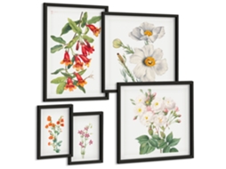Conjunto De Pinturas Ilustrações Florais Botânicas Espelharte (5 Peças)