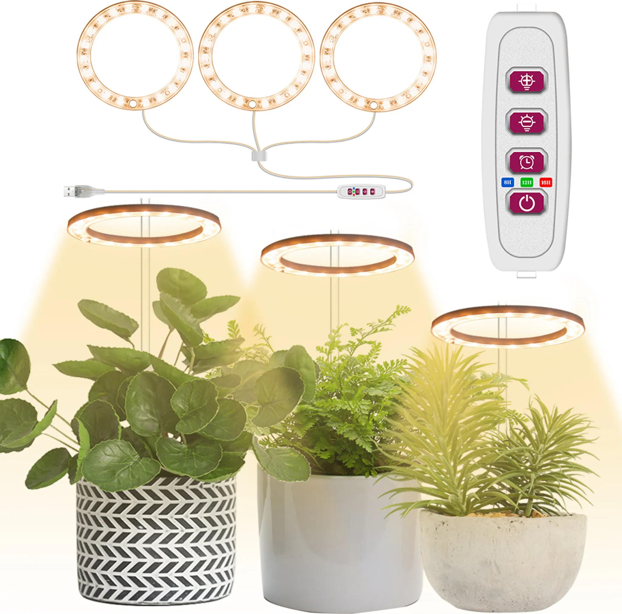 Anel de Luz Led Quente Três Cabeças STELASPLEN