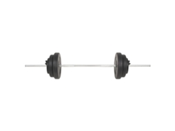 Barbell With Plate, Barbells With Plates Vidaxl Preto Aço (n/a)