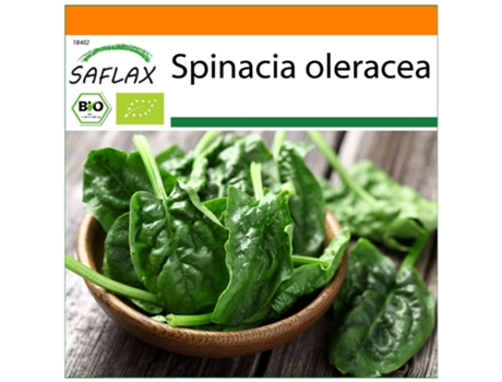 SAFLAX Garden In The Bag Orgânico Espinafre Matador Spinacia Oleracea 300 Sementes com Substrato de Cultivo em Saco Prático e Automontante