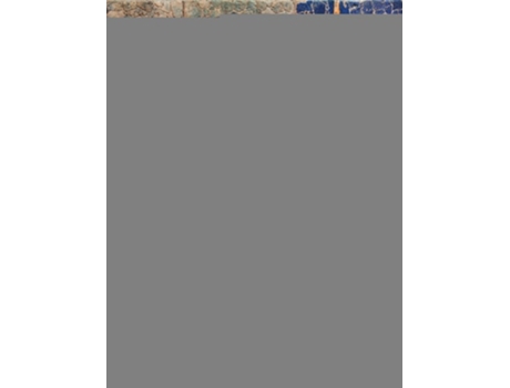 Livro Mesopotamia de Erika Roboz (Inglês - Capa Dura)