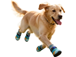 Sapatos De Gato Com Luzes, Respiráveis E Antiderrapantes