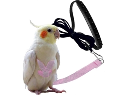 2026 arnés Ajustable para Aves com Correia de 2 Metros, Kit de Treinamento Ao Ar Livre para Loros, Cacatúas e Periquitos