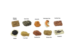 SAFARI Ancient Fossils Toob