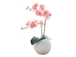 Eco Bottle com Phalaenopsis Light Pink, LAXISCREED
