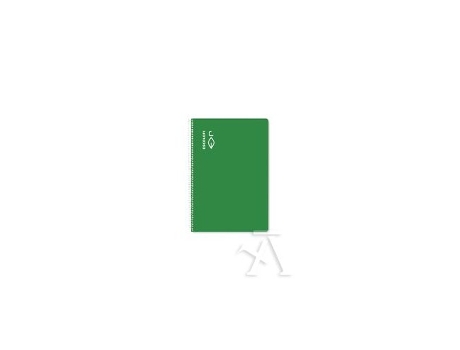 Livro Paq/5 Bloc Fº 50h 70g Milimetrado 2x2x16 Escolofi Verde De Desconocido (espanhol)