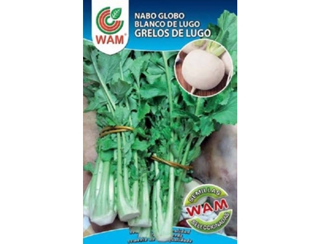 Sementes  Grelos de Lugo