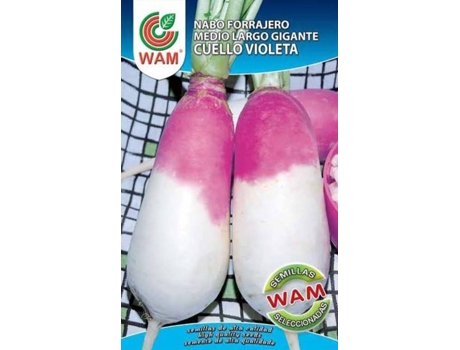 Sementes  Nabo Violeta Médio