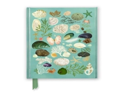 Livro Katherine Quinn Beachcombing de Flame Tree Publishing (Inglês)