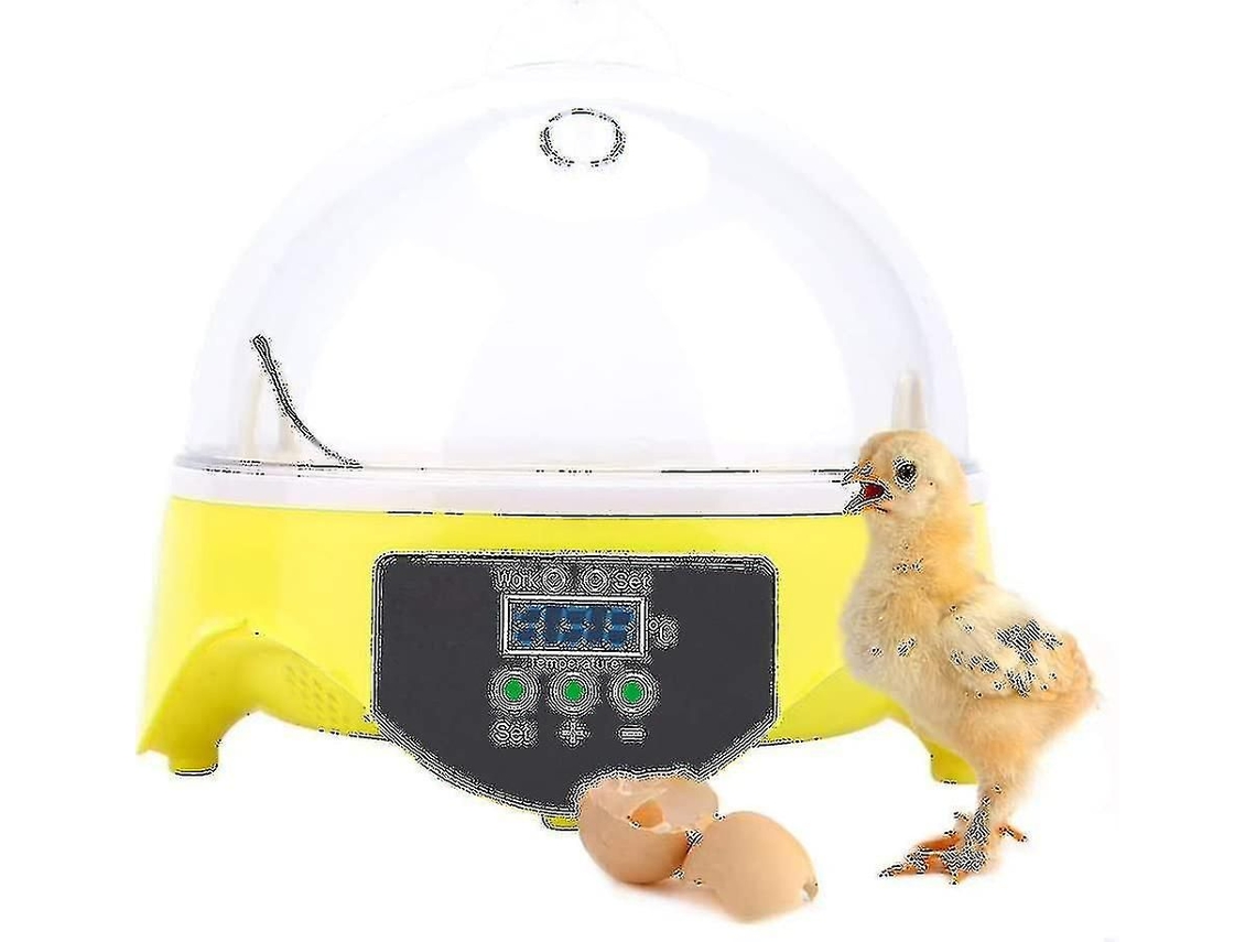 Incubadora Automática Digital para 7 Ovos com Viragem Automática da Sugoumei