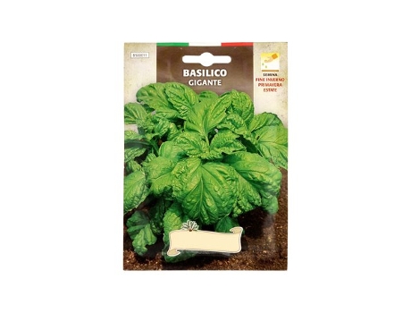 Sementes Aromáticas De Manjericão Gigante Cds (5 Gramas)