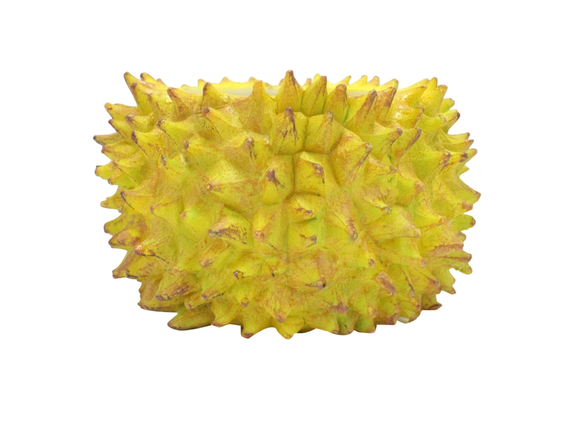 Vaso de Suculenta Primerox em Formato de Durian Resina Pequeno para Decoração Jardim e Casa