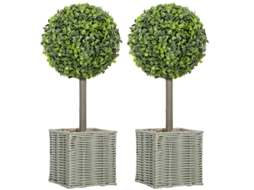 2 Plantas Árvores Uv Vasos Plástico Cimento Verde VELTRIX