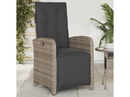 Vidaxl Cadeira De Jardim Reclinável C/ Apoio Para Os Pés Vime Pe Cinza