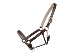 Cabresto para Cavalos QHP Lupine