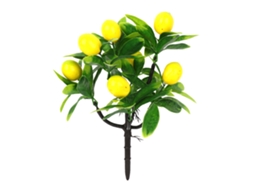 Laxiscreed Planta De Kumquat Em Vaso Com Limão Para Jardim Ou Interior