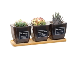 Conjunto De 3 Vasos Para Ervas, Vaso Interno Com Irrigação Automática, Vasos Ventilados, Vasos Decorativos Para Plantas Verdes